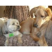Manon Beaudoin's photo
