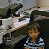 Chandra Krishnans billede