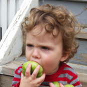 Ann Tobin's photo