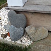Joanne McGlinchy's photo
