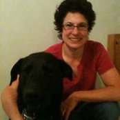 Nancy Darr's photo