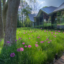 meadow
