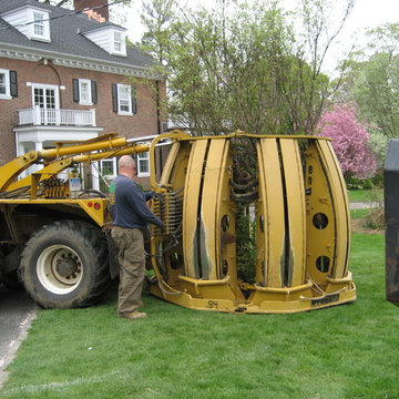 Whole Home Garden Design and Installation; large trees, flowers, shrubs in beds