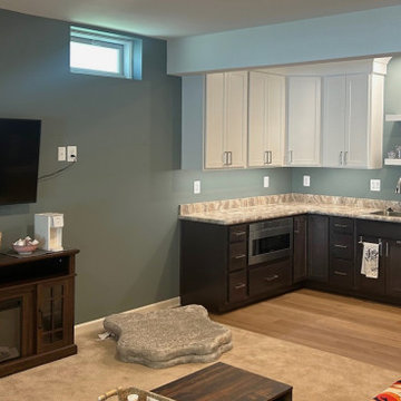 Basement remodel in Frederick with a kitchenette