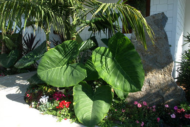 Leucadia Tropical Garden