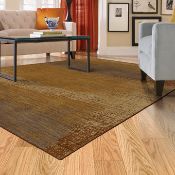 Contemporary Karastan Rug Collection
