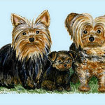 Betsy Drake - Yorkies Door Mat 30x50 - These decorative floor mats are made with a synthetic, low pile washable material that will stand up to years of wear. They have a non-slip rubber backing and feature art made by artists Dick Hamilton and Betsy Drake of Betsy Drake Interiors. All of our items are made in the USA. Our small door mats measure 18x26 and our larger mats measure 30x50. Enjoy a colorful design that will last for years to come.