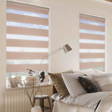Combi/Zebra Shades