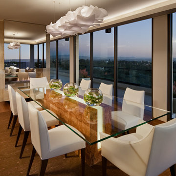 Modern Penthouse