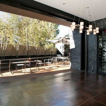 Modern Home in Cherry Creek