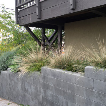 Conscious Stream Scape 2 Year Update - Silverlake