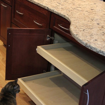 Davenport- Curious Cats Show Us Their New Kitchen