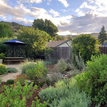 A Native & Herb Garden to Stroll Through