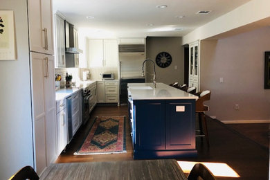 Trendy kitchen photo in Austin
