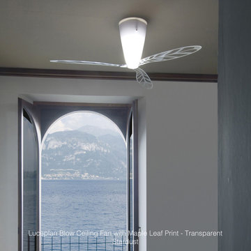 Cool Down in Summer: Ceiling Fans with Lights