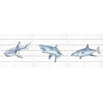Fiery Sharks Triptych, 3-Piece Set, 18x18 Panels