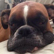 Nancy Simpson's photo