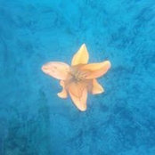 Rita Byless foto