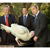 Robert Strauss-Kahn's photo