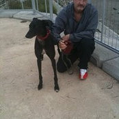 Michael Menzel's photo