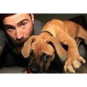 Dan O'Connor's photo