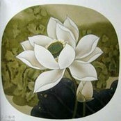 Rong Yang's photo