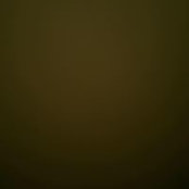 Vlad Onik's photo