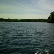 Cynthia Hetherington's photo