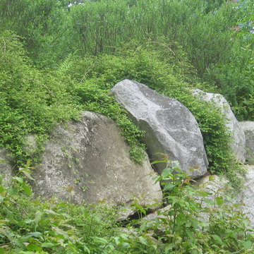 Boulder retaining wall and integrated planting