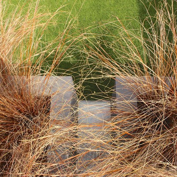 Contemporary urban garden
