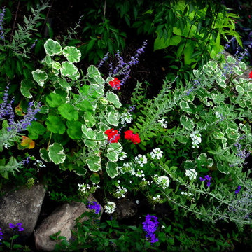 Landscaping Highlights