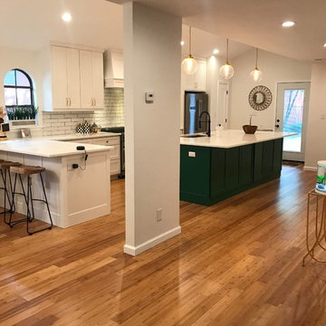 Kitchen/ Dining Room Update in conservation district