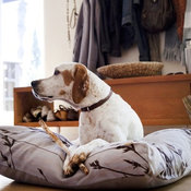 Amenity Hemp Dog Bed