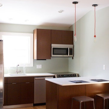 Wenge Veneer Kitchen