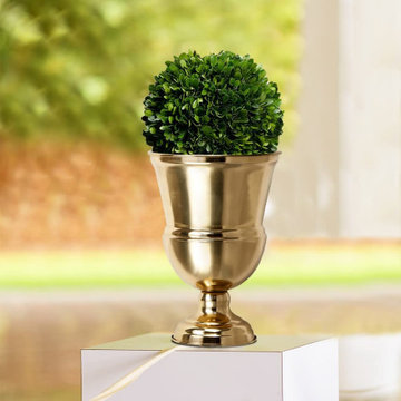 Serene Spaces Living DIY Vase Kit: Contains Boxwood Ball & Gold Urn Vase
