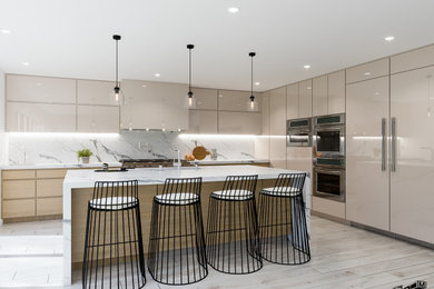 Example of a minimalist kitchen design in Los Angeles