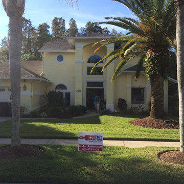 ProTect Painters: Custom Color Match in Tampa, FL