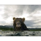 Hugo Selbie's photo
