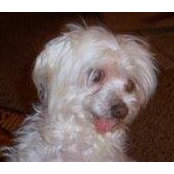 Linda Corgan's photo