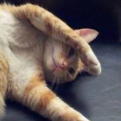 Anne Zatorsky's photo
