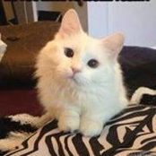 Magda Pico's photo