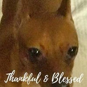 Shelley Erdman's photo