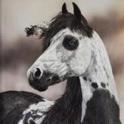 Perry Ashbys foto