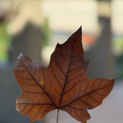 Dee P's photo
