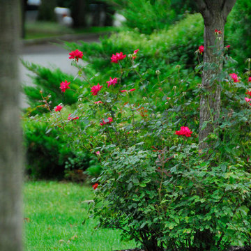 A Few Samples of My Photography