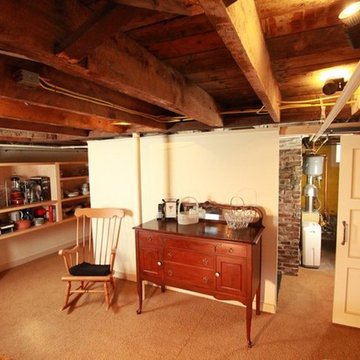Basement Version