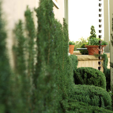 French Vegetable Garden