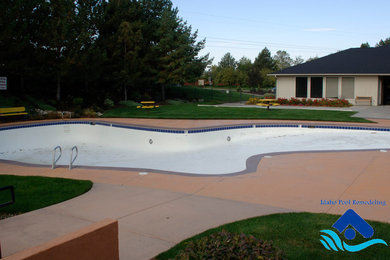 Design ideas for a large courtyard natural pool in Boise with a water feature and concrete slab.