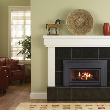 Gas Fireplace Inserts