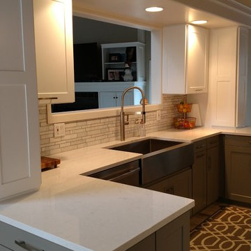 Forest Hills Kitchen Remodel